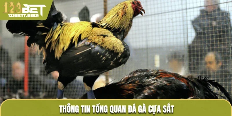 Thông tin tổng quan đá gà cựa sắt